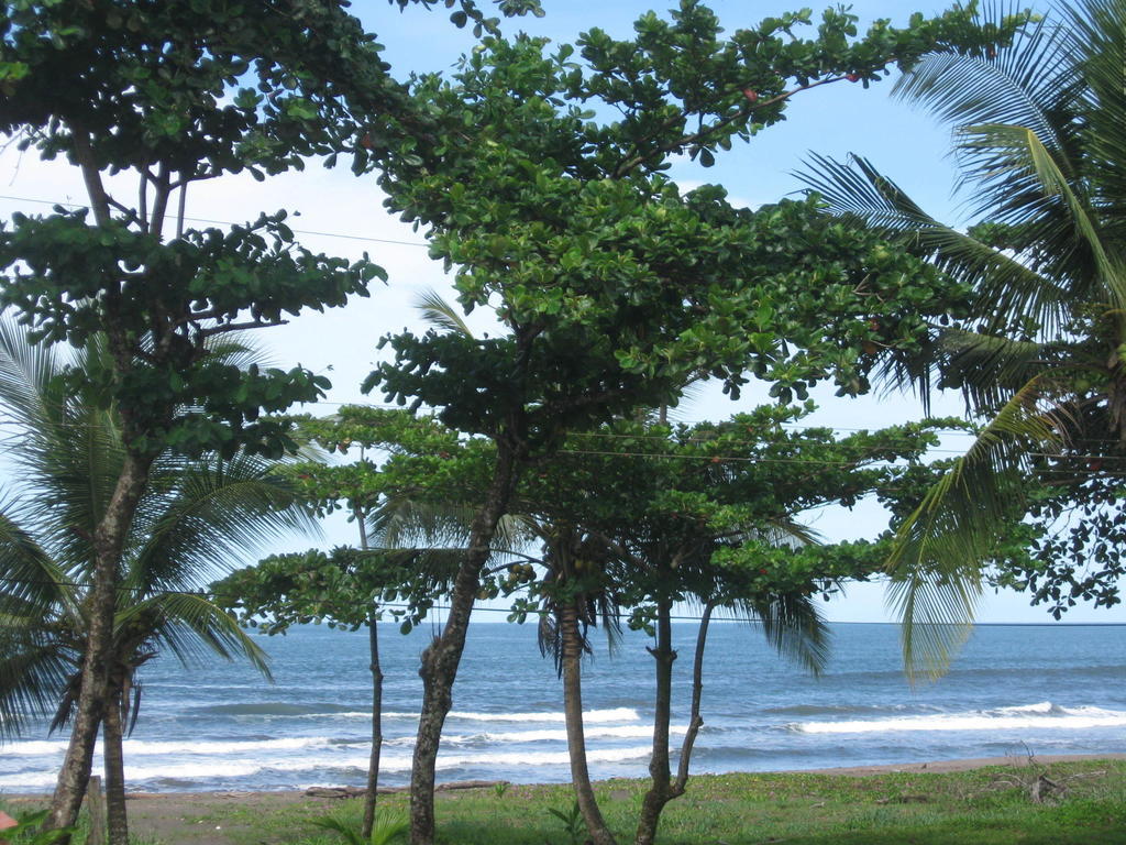 Cabinas Miss Miriam 2 Tortuguero Bagian luar foto